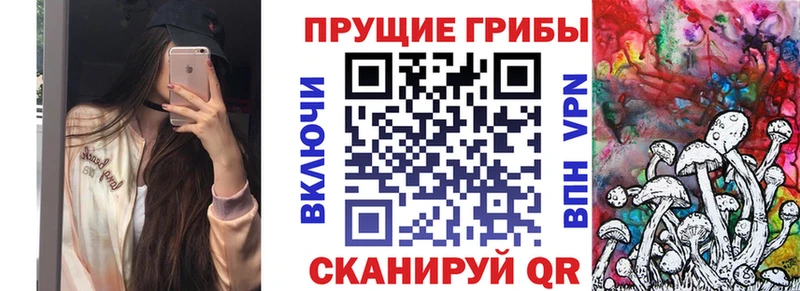 Галлюциногенные грибы GOLDEN TEACHER  Мещовск 